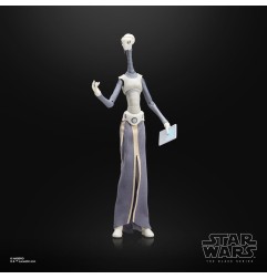 Star Wars Episode II Black Series - Figurine Taun We 15 cm