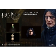 Harry Potter - Accessoires 2.0 pour figurine 1/6 Snape 1.0