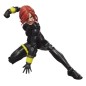 Marvel - Avengers Legends Action Figure 2-Pack Black Widow & Quicksilver 15 cm Marvel - Avengers Legends Action Figure 2-Pack Black Widow & Quicksilver 15 cm