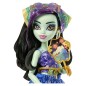 Monster High - Skulltimate Secrets Doll Destination: Gore-geous Oasis - Jinafire Long