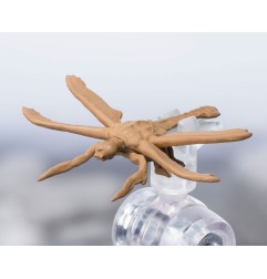 Godzilla - Figurine S.H. Monster Arts Megaguirus Evolution Set 21 cm