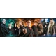 Harry Potter - Puzzle Panorama Characters