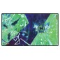 Ultimate Guard - Play-Mat Magic: The Gathering "Secrets of Strixhaven" Quandrix