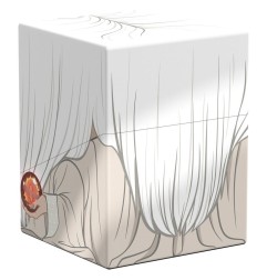 Squaroes - Le Seigneur des Anneaux LOTR014 Saruman