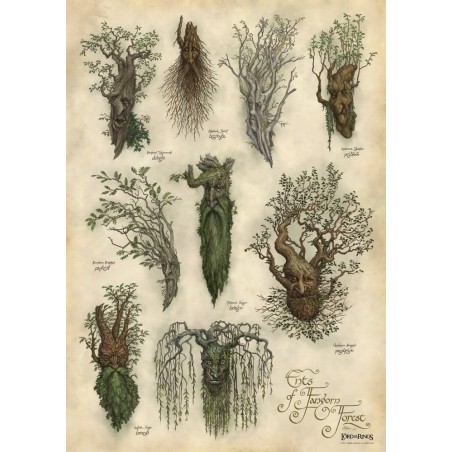 Lord of the Rings - Art Print Ent's of Fangorn Forest 59 x 30 cm