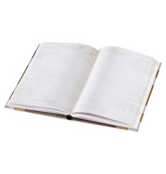 Minecraft - Journal Livre Enchanté