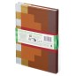Minecraft - Journal Livre Enchanté