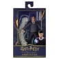 Harry Potter - Figurine Harry Potter Legacy Collection 18 cm
