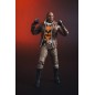 DC Multiverse - Figurine Bronze Tiger (New 52) 18 cm