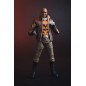 DC Multiverse - Figurine Bronze Tiger (New 52) 18 cm