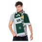 Harry Potter - Echarpe Slytherin Harry Potter - Echarpe Slytherin