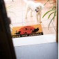 Le Roi Lion - Paillasson Rule The Jungle 40 x 60 cm