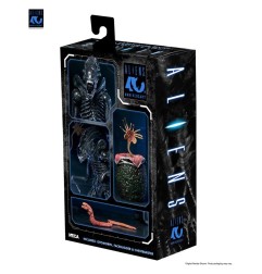 Aliens Ultimate - Figurine Warrior (1986) Xenomorph Black (40th Anniversary) 23 cm