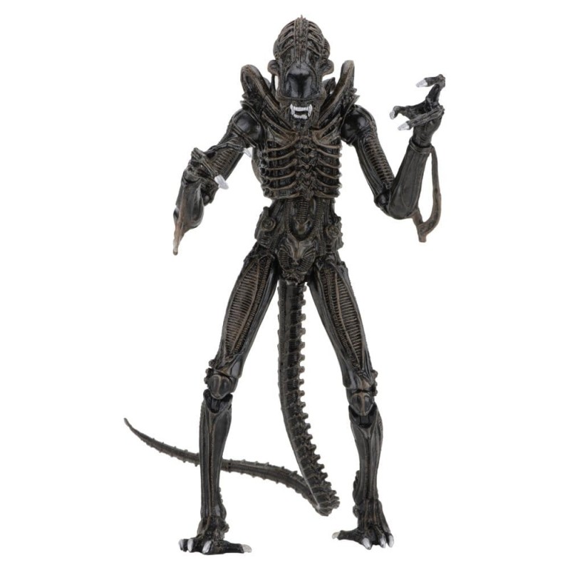 Aliens Ultimate - Figurine Warrior (1986) Brown 23 cm Aliens Ultimate - Figurine Warrior (1986) Brown 23 cm