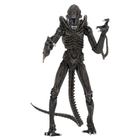 Aliens Ultimate - Figurine Warrior (1986) Brown 23 cm