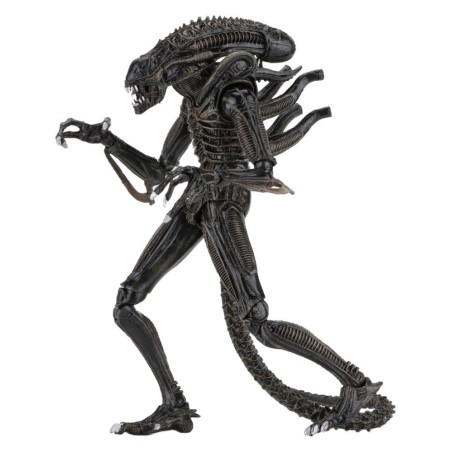 Aliens Ultimate - Figurine Warrior (1986) Brown 23 cm