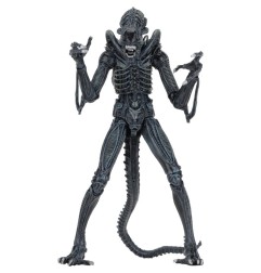 Aliens Ultimate - Figurine Warrior (1986) Blue 23 cm