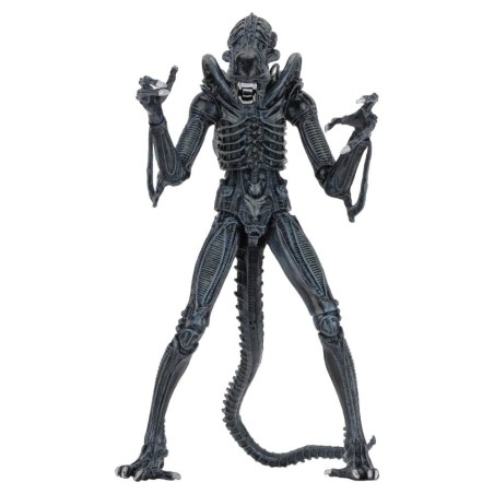 Aliens Ultimate - Figurine Warrior (1986) Blue 23 cm