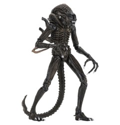 Aliens Ultimate - Figurine Warrior (1986) Brown 23 cm