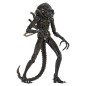 Aliens Ultimate - Figurine Warrior (1986) Brown 23 cm Aliens Ultimate - Figurine Warrior (1986) Brown 23 cm