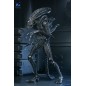 Aliens Ultimate - Figurine Warrior (1986) Xenomorph Black (40th Anniversary) 23 cm Aliens Ultimate - Figurine Warrior (1986) Xenomorph Black (40th Anniversary) 23 cm