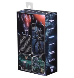 Aliens Ultimate - Figurine Warrior (1986) Blue 23 cm