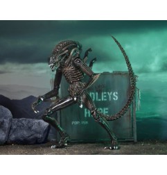 Aliens Ultimate - Figurine Warrior (1986) Brown 23 cm