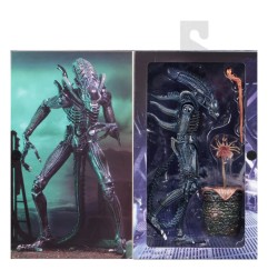 Aliens Ultimate - Figurine Warrior (1986) Blue 23 cm