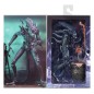 Aliens Ultimate - Figurine Warrior (1986) Blue 23 cm Aliens Ultimate - Figurine Warrior (1986) Blue 23 cm