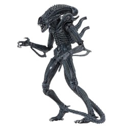 Aliens Ultimate - Figurine Warrior (1986) Blue 23 cm