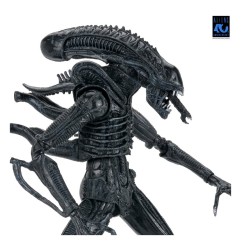 Aliens Ultimate - Figurine Warrior (1986) Xenomorph Black (40th Anniversary) 23 cm