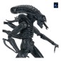 Aliens Ultimate - Figurine Warrior (1986) Xenomorph Black (40th Anniversary) 23 cm Aliens Ultimate - Figurine Warrior (1986) Xenomorph Black (40th Anniversary) 23 cm