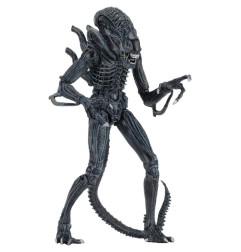 Aliens Ultimate - Figurine Warrior (1986) Blue 23 cm