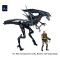 Aliens Ultra Deluxe - Figurine Alien Queen (40th Anniversary) 38 cm Aliens Ultra Deluxe - Figurine Alien Queen (40th Anniversary) 38 cm