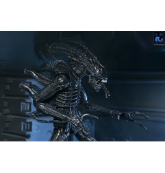 Aliens Ultimate - Figurine Warrior (1986) Xenomorph Black (40th Anniversary) 23 cm