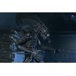 Aliens Ultimate - Figurine Warrior (1986) Xenomorph Black (40th Anniversary) 23 cm Aliens Ultimate - Figurine Warrior (1986) Xenomorph Black (40th Anniversary) 23 cm