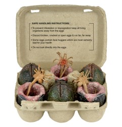 Aliens - Pack de 6 accessoires Carton of Alien Eggs (40th Anniversary)