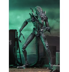 Aliens Ultimate - Figurine Warrior (1986) Blue 23 cm