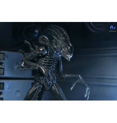 Aliens Ultimate - Figurine Warrior (1986) Xenomorph Black (40th Anniversary) 23 cm