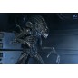 Aliens Ultimate - Figurine Warrior (1986) Xenomorph Black (40th Anniversary) 23 cm Aliens Ultimate - Figurine Warrior (1986) Xenomorph Black (40th Anniversary) 23 cm