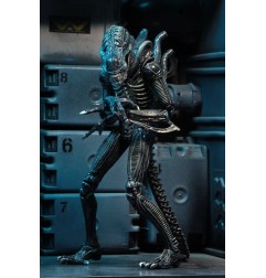 Aliens Ultimate - Figurine Warrior (1986) Blue 23 cm