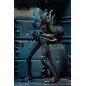 Aliens Ultimate - Figurine Warrior (1986) Blue 23 cm Aliens Ultimate - Figurine Warrior (1986) Blue 23 cm
