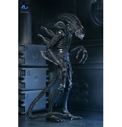 Aliens Ultimate - Figurine Warrior (1986) Xenomorph Black (40th Anniversary) 23 cm
