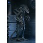 Aliens Ultimate - Figurine Warrior (1986) Xenomorph Black (40th Anniversary) 23 cm Aliens Ultimate - Figurine Warrior (1986) Xenomorph Black (40th Anniversary) 23 cm