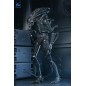 Aliens Ultimate - Figurine Warrior (1986) Xenomorph Black (40th Anniversary) 23 cm Aliens Ultimate - Figurine Warrior (1986) Xenomorph Black (40th Anniversary) 23 cm