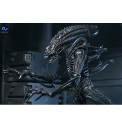 Aliens Ultimate - Figurine Warrior (1986) Xenomorph Black (40th Anniversary) 23 cm