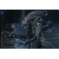 Aliens Ultimate - Figurine Warrior (1986) Xenomorph Black (40th Anniversary) 23 cm Aliens Ultimate - Figurine Warrior (1986) Xenomorph Black (40th Anniversary) 23 cm