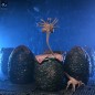 Aliens - Pack de 6 accessoires Carton of Alien Eggs (40th Anniversary) Aliens - Pack de 6 accessoires Carton of Alien Eggs (40th Anniversary)