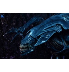 Aliens Ultra Deluxe - Figurine Alien Queen (40th Anniversary) 38 cm
