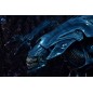Aliens Ultra Deluxe - Figurine Alien Queen (40th Anniversary) 38 cm Aliens Ultra Deluxe - Figurine Alien Queen (40th Anniversary) 38 cm
